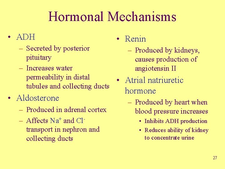 Hormonal Mechanisms • ADH • Renin – Secreted by posterior – Produced by kidneys,