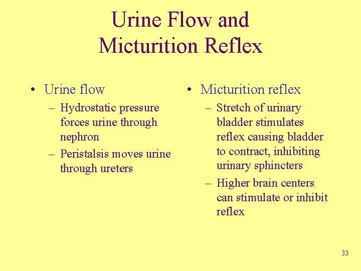 Urine Flow and Micturition Reflex • Urine flow – Hydrostatic pressure forces urine through