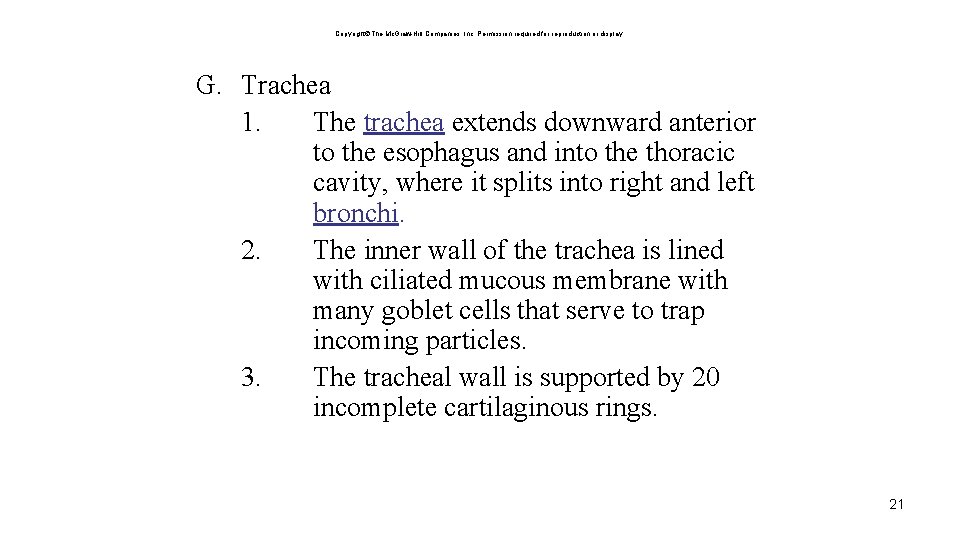 Copyright The Mc. Graw-Hill Companies, Inc. Permission required for reproduction or display. G. Trachea