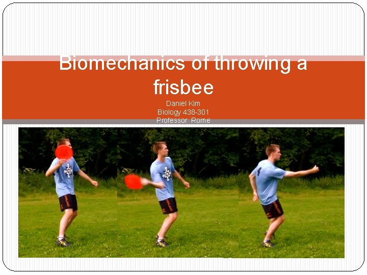 Biomechanics of throwing a frisbee Daniel Kim Biology 438 -301 Professor Rome 