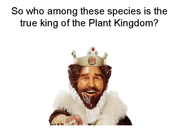 So who among these species is the true king of the Plant Kingdom? 