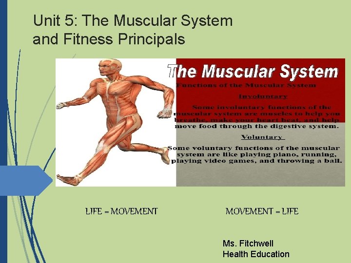 Unit 5: The Muscular System and Fitness Principals LIFE = MOVEMENT = LIFE Ms.