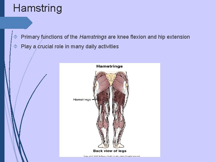 Hamstring Primary functions of the Hamstrings are knee flexion and hip extension Play a