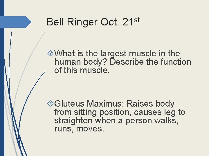 Bell Ringer Oct. 21 st What is the largest muscle in the human body?