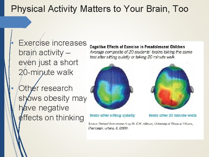 Physical Activity Matters to Your Brain, Too • Exercise increases brain activity – even