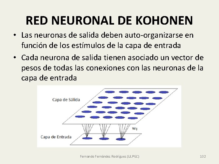 RED NEURONAL DE KOHONEN • Las neuronas de salida deben auto-organizarse en función de