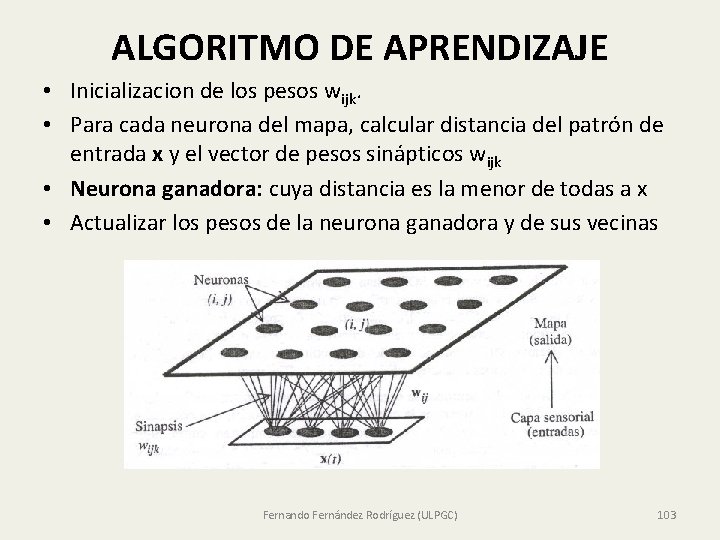 ALGORITMO DE APRENDIZAJE • Inicializacion de los pesos wijk. • Para cada neurona del ALGORITMO DE APRENDIZAJE • Inicializacion de los pesos wijk. • Para cada neurona del