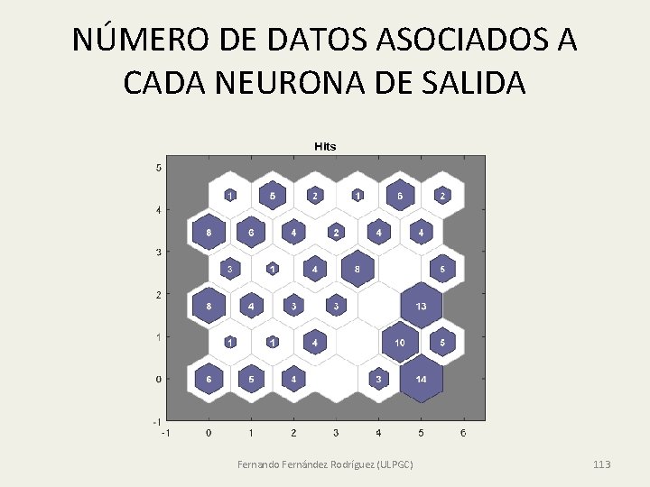 NÚMERO DE DATOS ASOCIADOS A CADA NEURONA DE SALIDA Fernando Fernández Rodríguez (ULPGC) 113