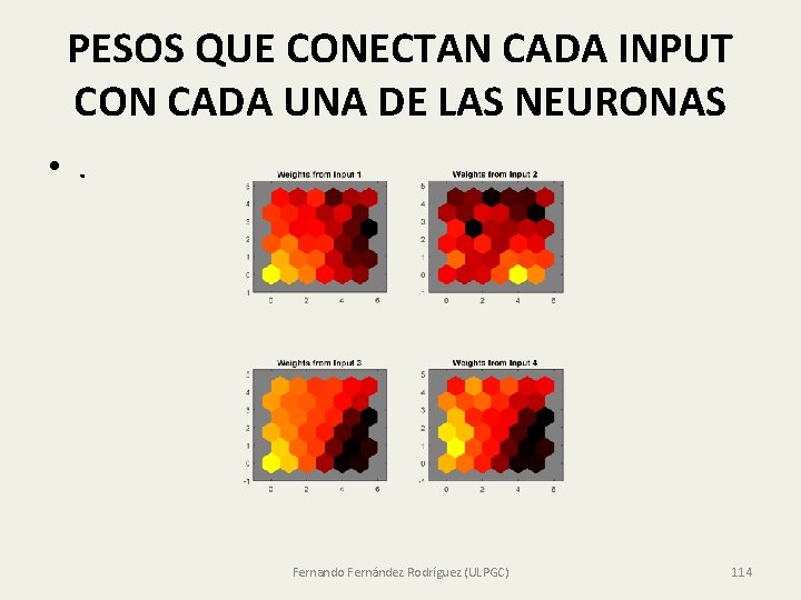 PESOS QUE CONECTAN CADA INPUT CON CADA UNA DE LAS NEURONAS • . Fernando