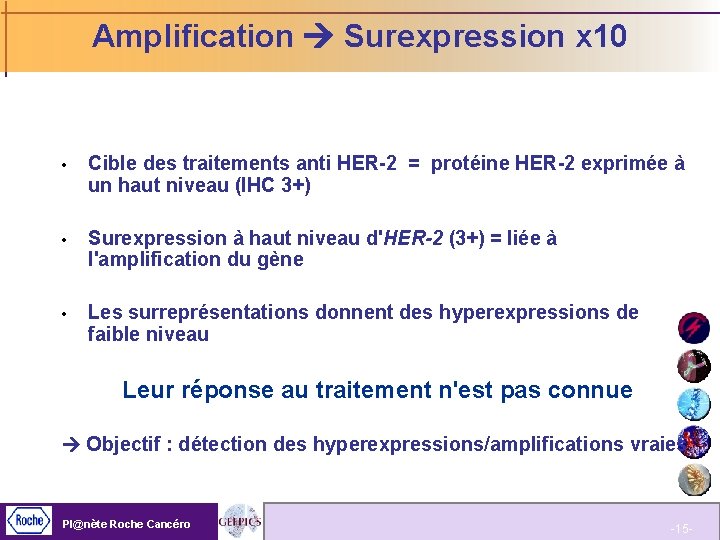 Amplification Surexpression x 10 Cible des traitements anti HER-2 = protéine HER-2 exprimée à