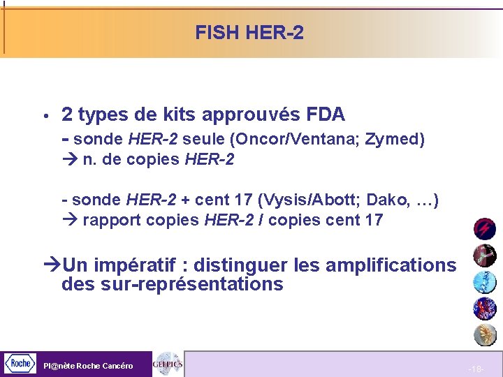 FISH HER-2 2 types de kits approuvés FDA - sonde HER-2 seule (Oncor/Ventana; Zymed)