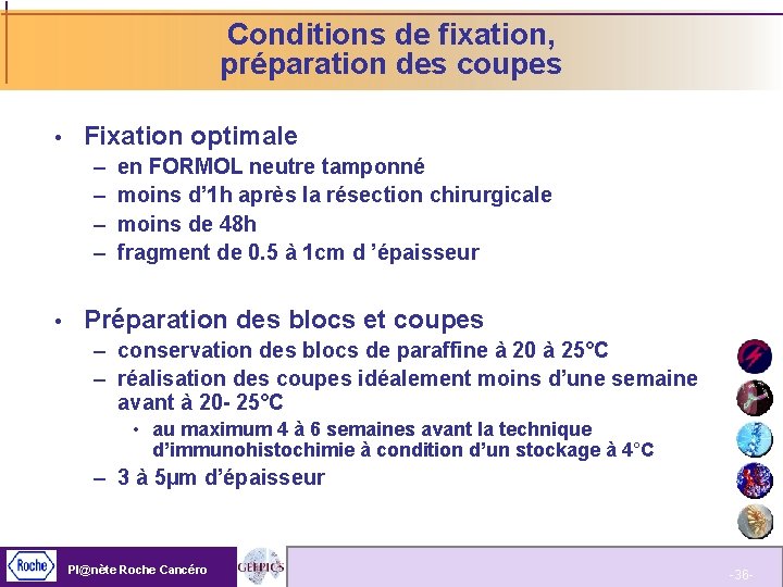 Conditions de fixation, préparation des coupes Fixation optimale – – en FORMOL neutre tamponné