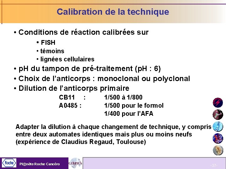 Calibration de la technique • Conditions de réaction calibrées sur • FISH • témoins
