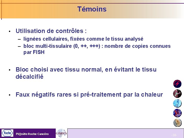 Témoins Utilisation de contrôles : – lignées cellulaires, fixées comme le tissu analysé –