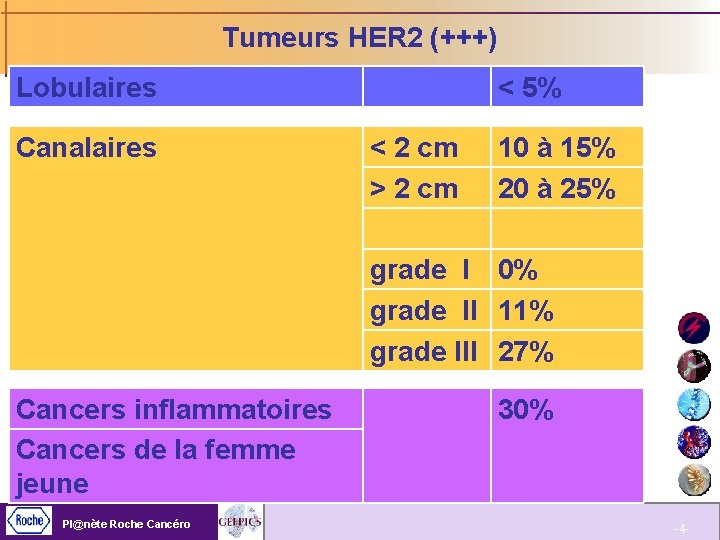 Tumeurs HER 2 (+++) Lobulaires < 5% Canalaires < 2 cm > 2 cm