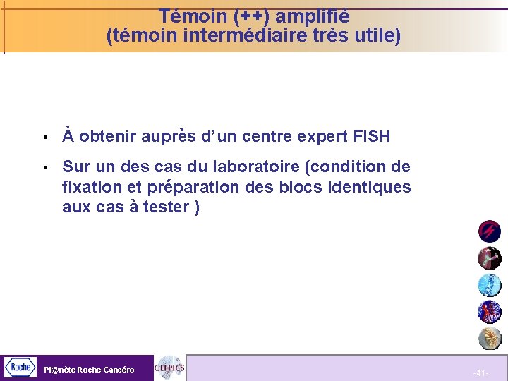 Témoin (++) amplifié (témoin intermédiaire très utile) À obtenir auprès d’un centre expert FISH