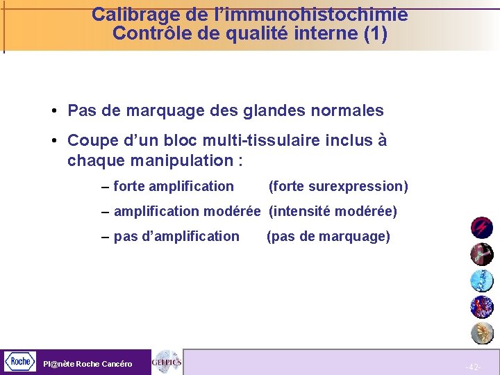 Calibrage de l’immunohistochimie Contrôle de qualité interne (1) • Pas de marquage des glandes