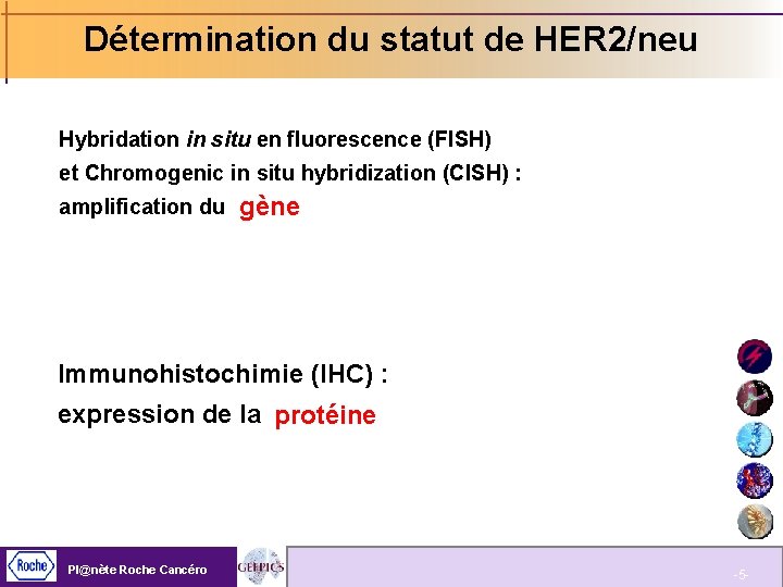 Détermination du statut de HER 2/neu Hybridation in situ en fluorescence (FISH) et Chromogenic