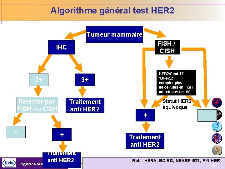 Algorithme général test HER 2 Tumeur mammaire FISH / CISH IHC 2+ 3+ Retester