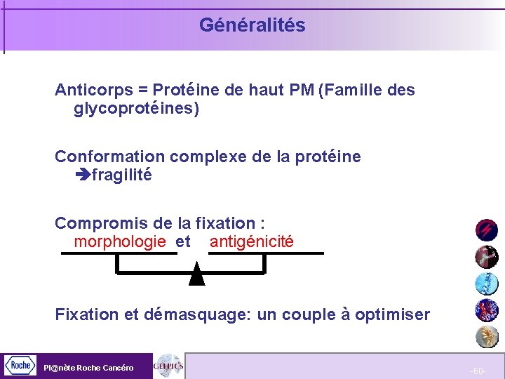 Généralités Anticorps = Protéine de haut PM (Famille des glycoprotéines) Conformation complexe de la