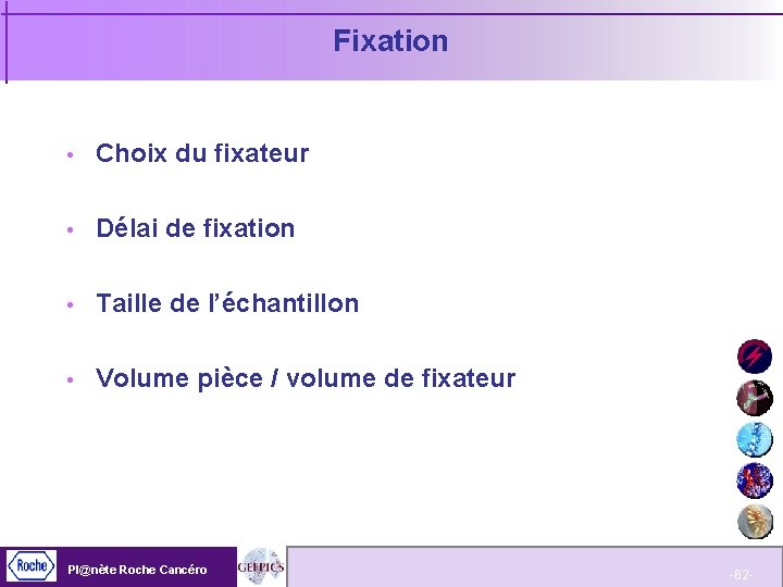 Fixation Choix du fixateur Délai de fixation Taille de l’échantillon Volume pièce / volume