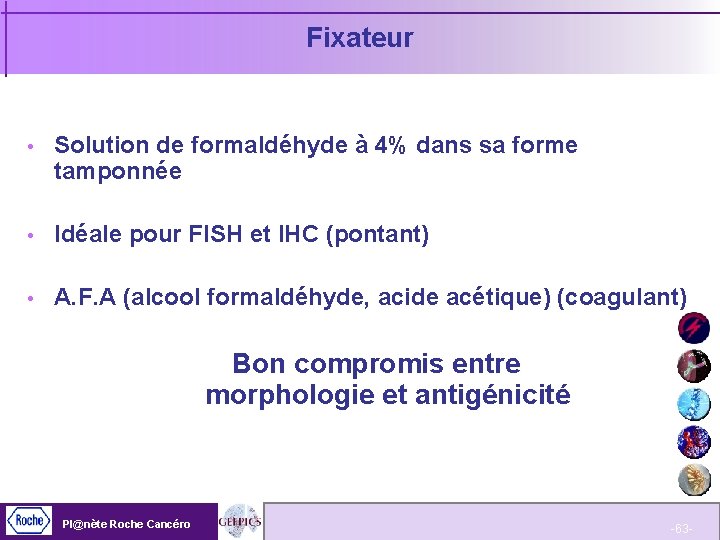 Fixateur Solution de formaldéhyde à 4% dans sa forme tamponnée Idéale pour FISH et