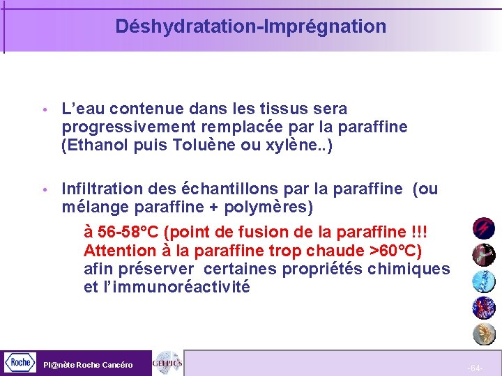 Déshydratation-Imprégnation L’eau contenue dans les tissus sera progressivement remplacée par la paraffine (Ethanol puis