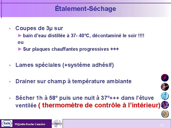 Étalement-Séchage Coupes de 3µ sur ► bain d’eau distillée à 37 - 40°C, décontaminé