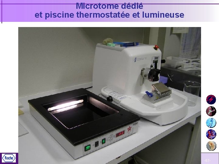 Microtome dédié et piscine thermostatée et lumineuse Pl@nète Roche Cancéro -67 - 