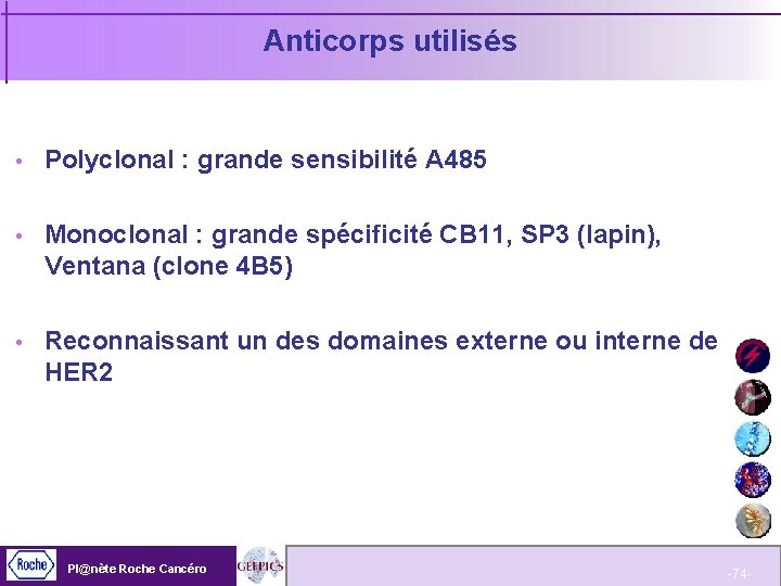 Anticorps utilisés Polyclonal : grande sensibilité A 485 Monoclonal : grande spécificité CB 11,