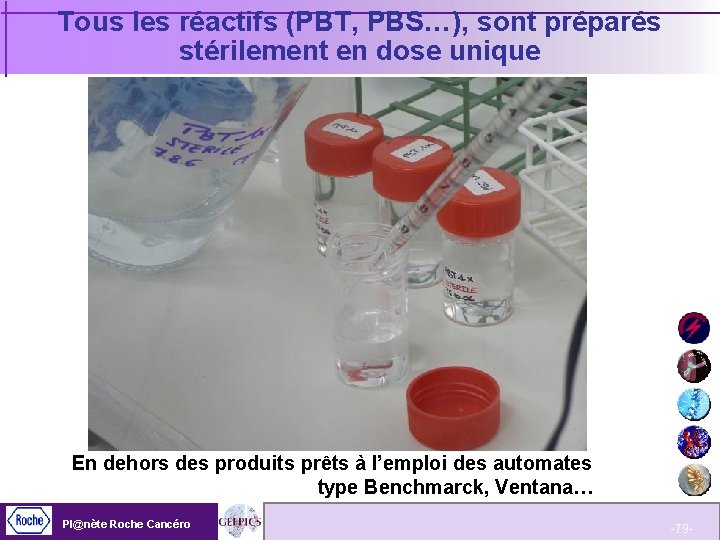 Tous les réactifs (PBT, PBS…), sont préparés stérilement en dose unique En dehors des