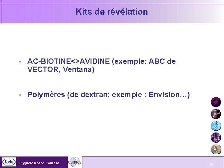 Kits de révélation AC-BIOTINE<>AVIDINE (exemple: ABC de VECTOR, Ventana) Polymères (de dextran; exemple :