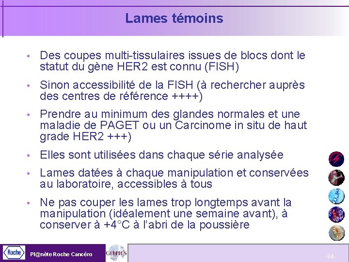 Lames témoins Des coupes multi-tissulaires issues de blocs dont le statut du gène HER