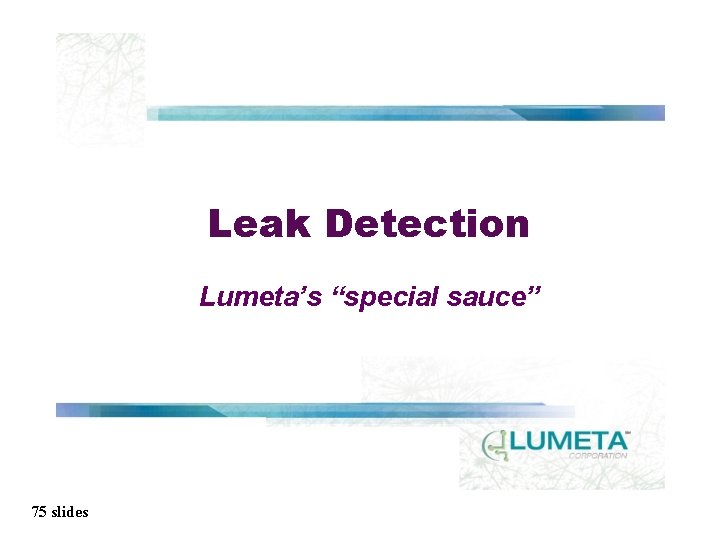 Leak Detection Lumeta’s “special sauce” 75 slides 