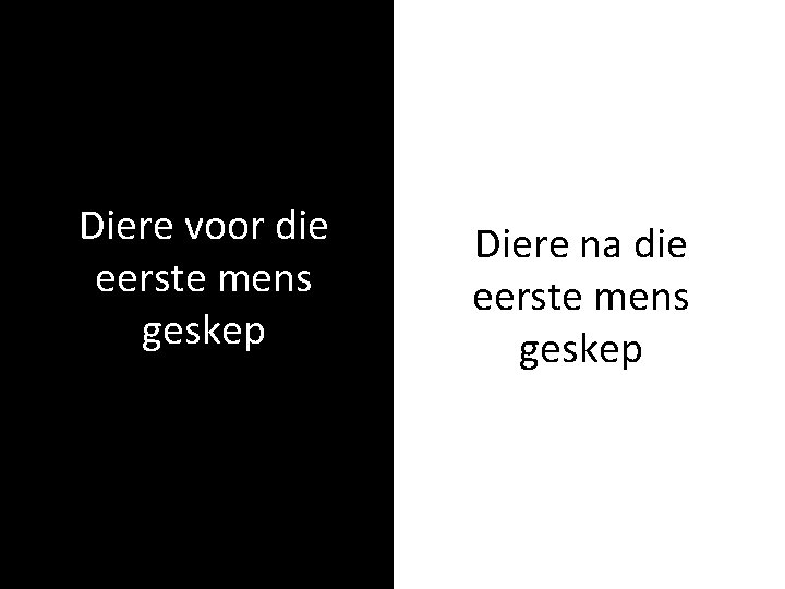 Diere voor die eerste mens geskep Diere na die eerste mens geskep 