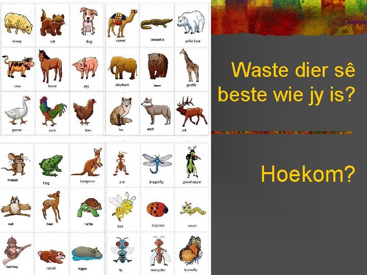 Waste dier sê beste wie jy is? Hoekom? 