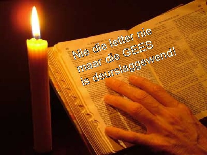 e i n r e t t e l S e i E d