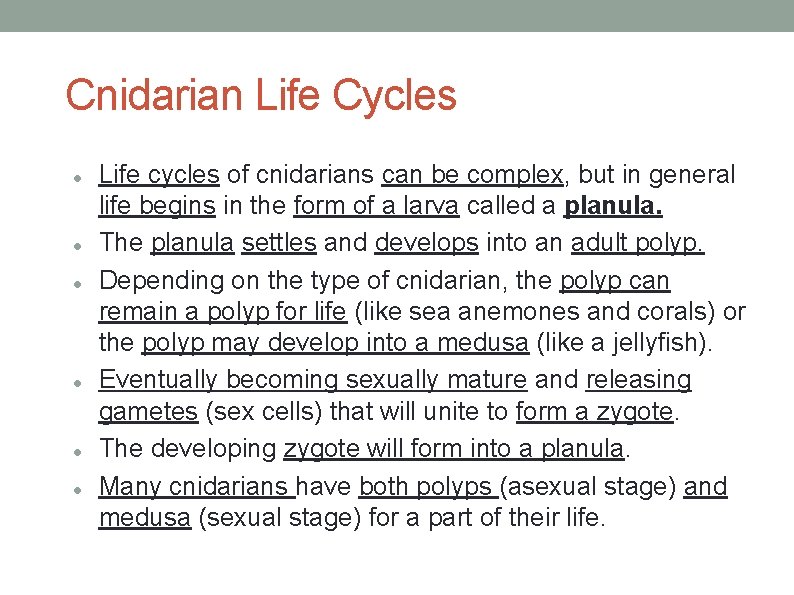 Cnidarian Life Cycles Life cycles of cnidarians can be complex, but in general life