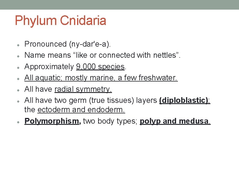 Phylum Cnidaria Pronounced (ny-dar'e-a). Name means “like or connected with nettles”. Approximately 9, 000