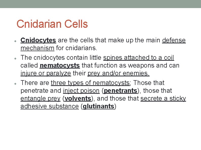 Cnidarian Cells Cnidocytes are the cells that make up the main defense mechanism for