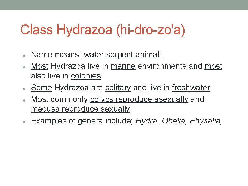 Class Hydrazoa (hi-dro-zo'a) Name means “water serpent animal”. Most Hydrazoa live in marine environments