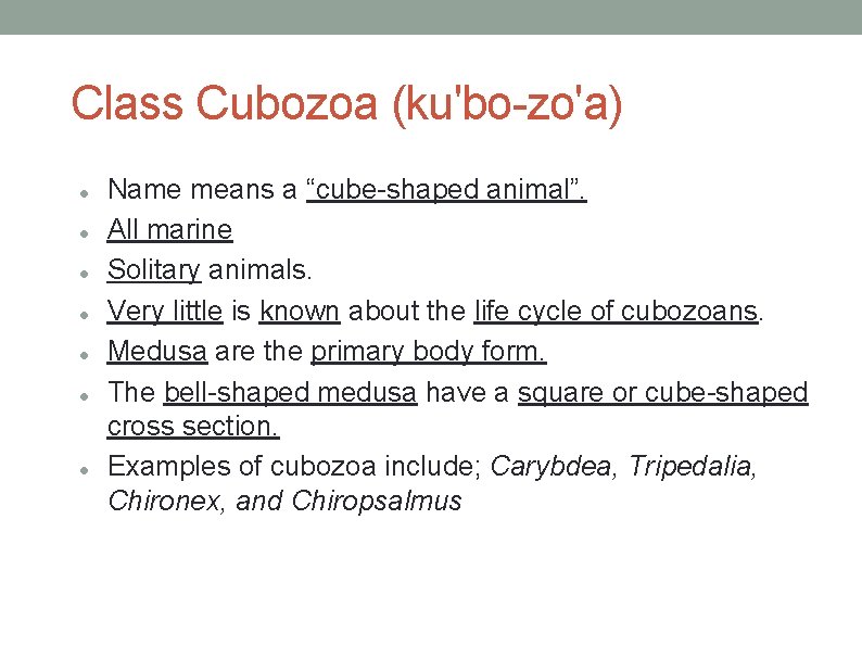 Class Cubozoa (ku'bo-zo'a) Name means a “cube-shaped animal”. All marine Solitary animals. Very little