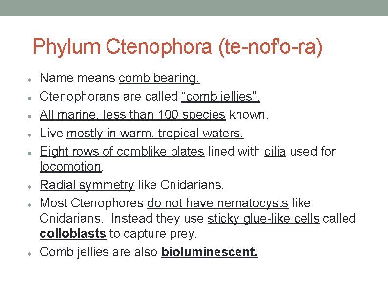 Phylum Ctenophora (te-nof'o-ra) Name means comb bearing. Ctenophorans are called “comb jellies”. All marine,