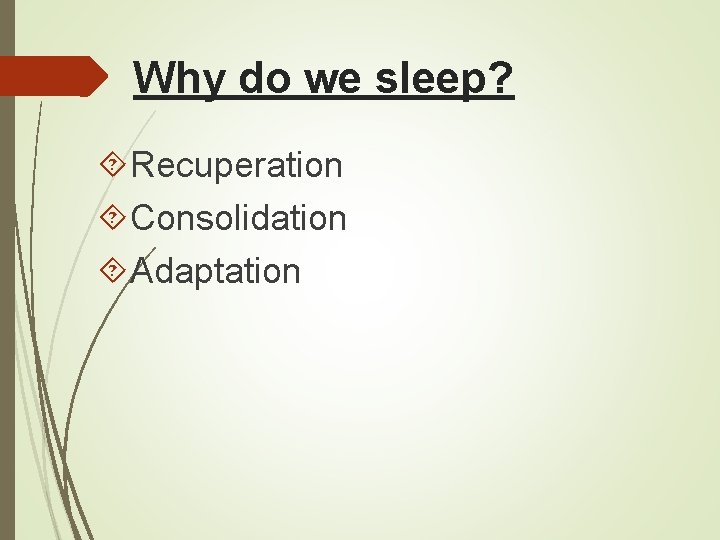 Why do we sleep? Recuperation Consolidation Adaptation 