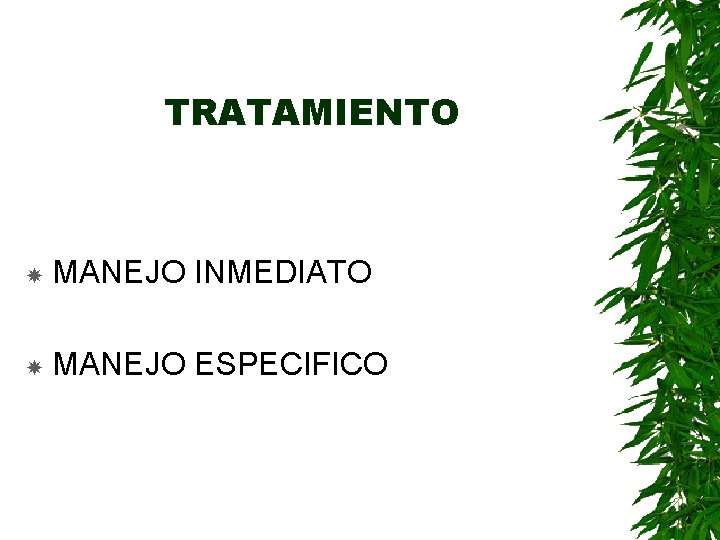 TRATAMIENTO MANEJO INMEDIATO MANEJO ESPECIFICO 