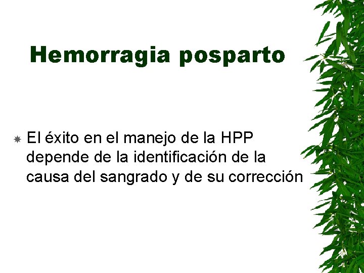 Hemorragia posparto El éxito en el manejo de la HPP depende de la identificación