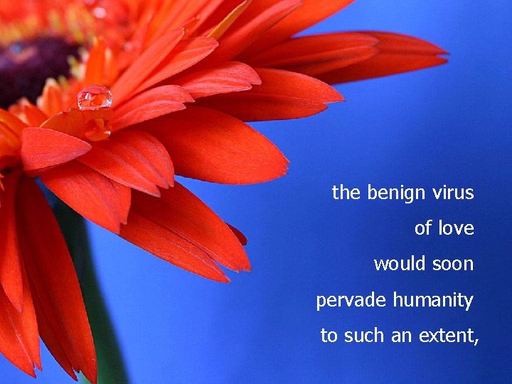 the benign virus of love would soon pervade humanity to such an extent, 