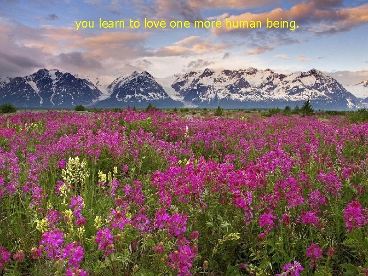 you learn to love one more human being. 