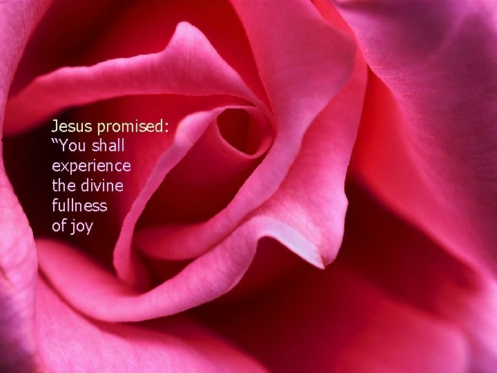 Jesus promised: “You shall experience the divine fullness of joy 