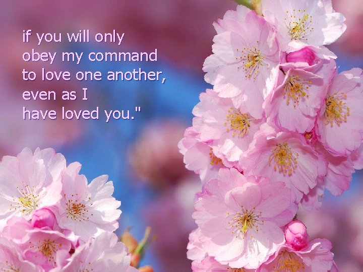 if you will only obey my command to love one another, even as I